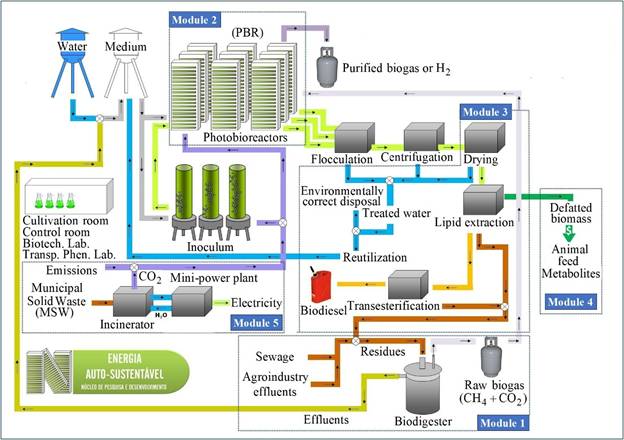 Diagram

Description automatically generated